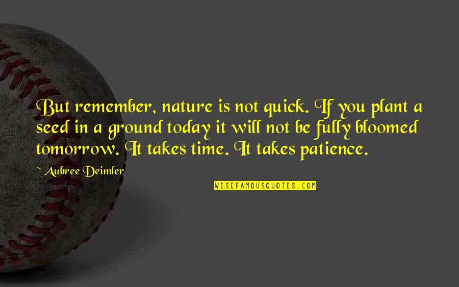 Anjasora Quotes By Aubree Deimler: But remember, nature is not quick. If you