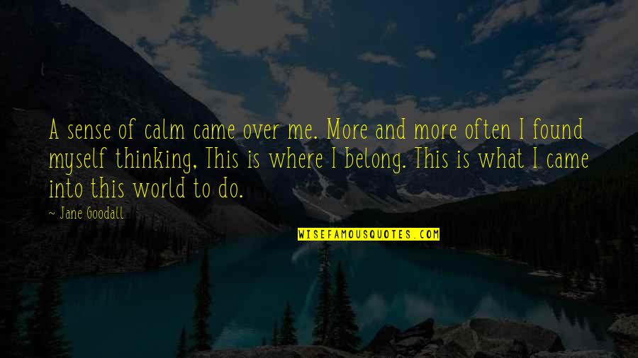 Ankermann Teningen Quotes By Jane Goodall: A sense of calm came over me. More Ankermann Teningen Quotes By Jane Goodall: A sense of calm came over me. More