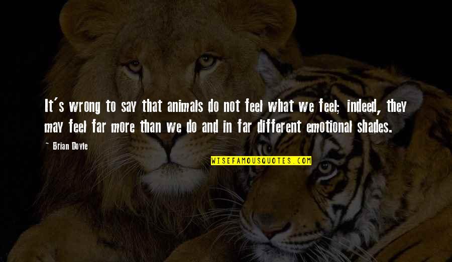 Anlamlari Quotes By Brian Doyle: It's wrong to say that animals do not Anlamlari Quotes By Brian Doyle: It's wrong to say that animals do not