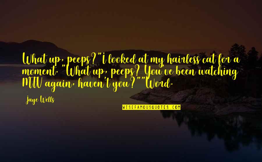 Anlatamam Derdimi Quotes By Jaye Wells: What up, peeps?"I looked at my hairless cat