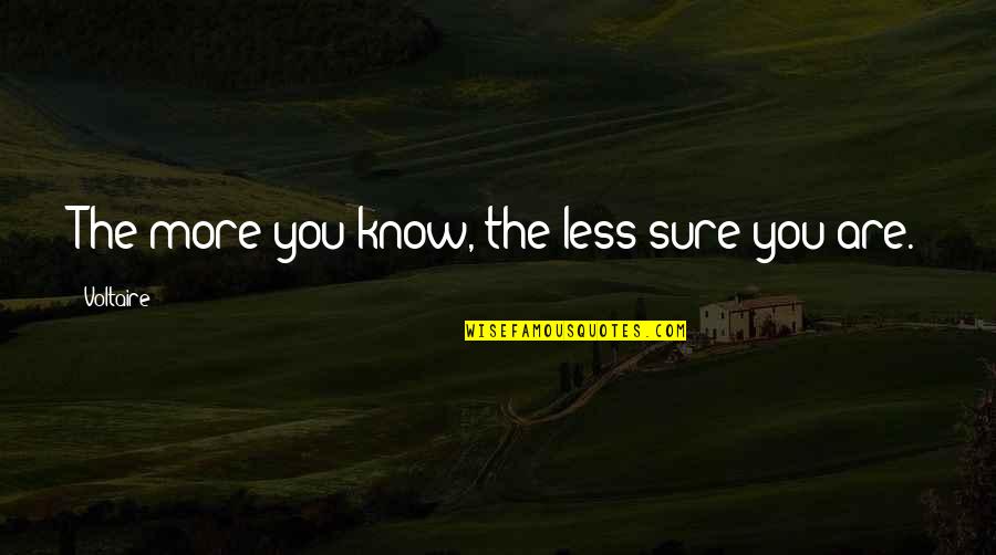 Anly Quotes By Voltaire: The more you know, the less sure you