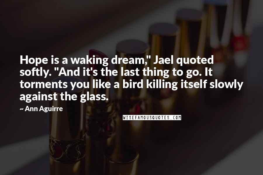 Ann Aguirre quotes: Hope is a waking dream," Jael quoted softly. "And it's the last thing to go. It torments you like a bird killing itself slowly against the glass.