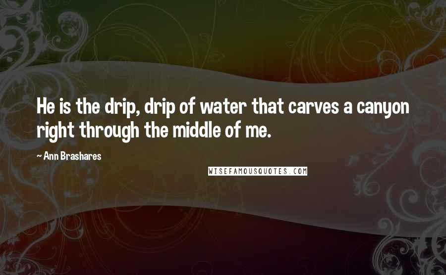 Ann Brashares quotes: He is the drip, drip of water that carves a canyon right through the middle of me.
