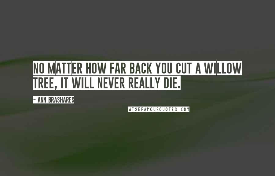 Ann Brashares quotes: No matter how far back you cut a willow tree, it will never really die.