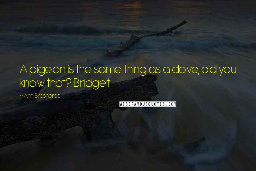 Ann Brashares quotes: A pigeon is the same thing as a dove, did you know that? Bridget