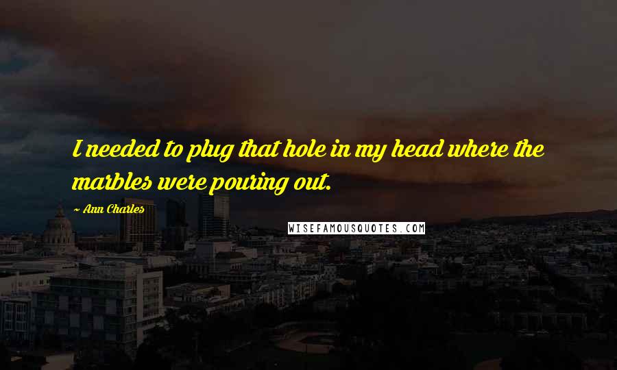 Ann Charles quotes: I needed to plug that hole in my head where the marbles were pouring out.