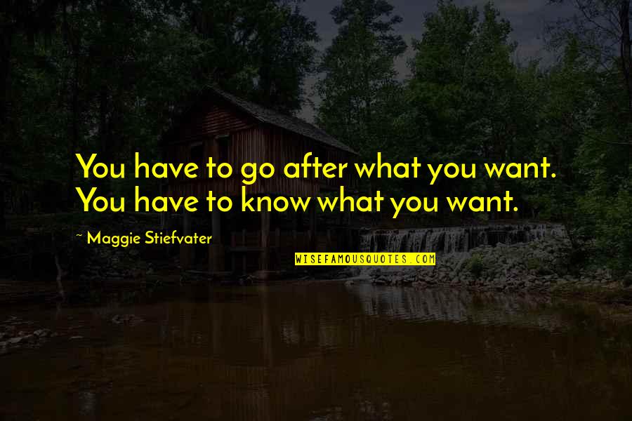 Ann Pelo Quotes By Maggie Stiefvater: You have to go after what you want.