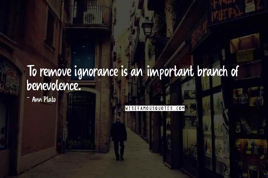 Ann Plato quotes: To remove ignorance is an important branch of benevolence.