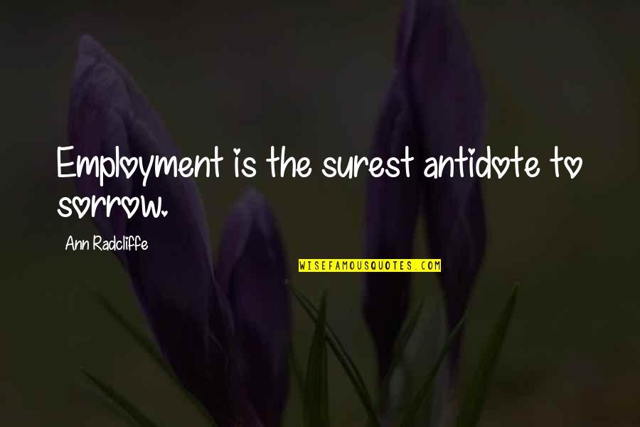 Ann Radcliffe Quotes By Ann Radcliffe: Employment is the surest antidote to sorrow.