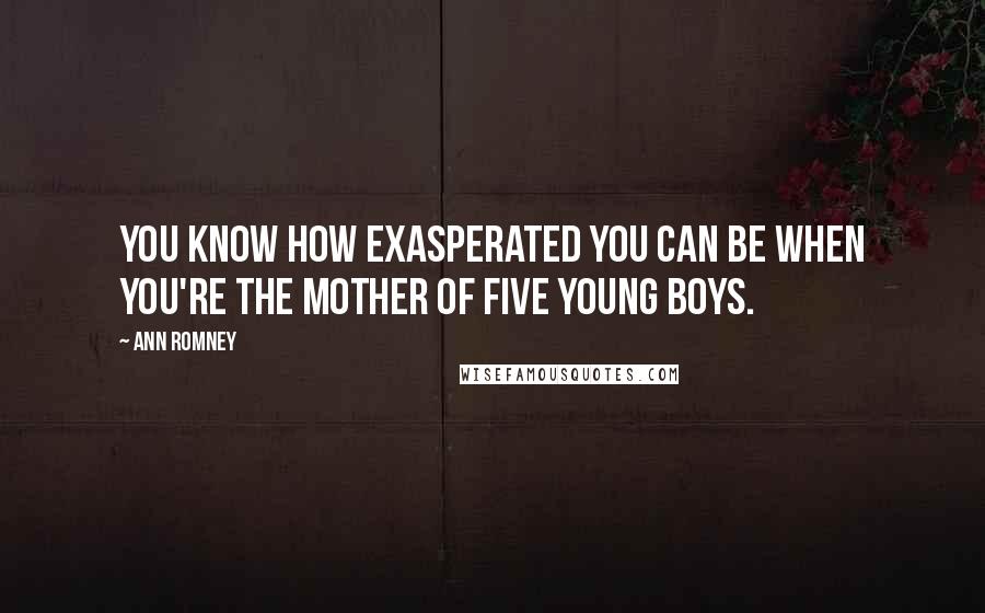 Ann Romney quotes: You know how exasperated you can be when you're the mother of five young boys.