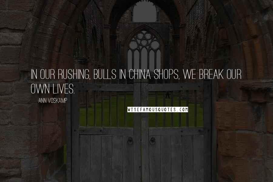 Ann Voskamp quotes: In our rushing, bulls in china shops, we break our own lives.