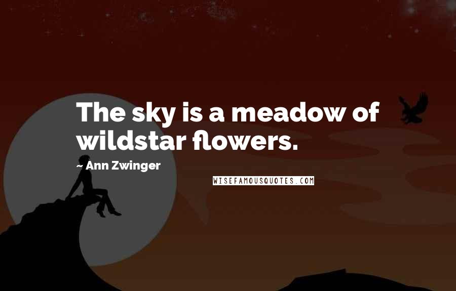 Ann Zwinger quotes: The sky is a meadow of wildstar flowers.