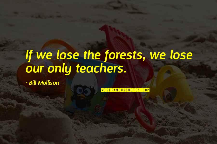 Anna Benson Quotes By Bill Mollison: If we lose the forests, we lose our