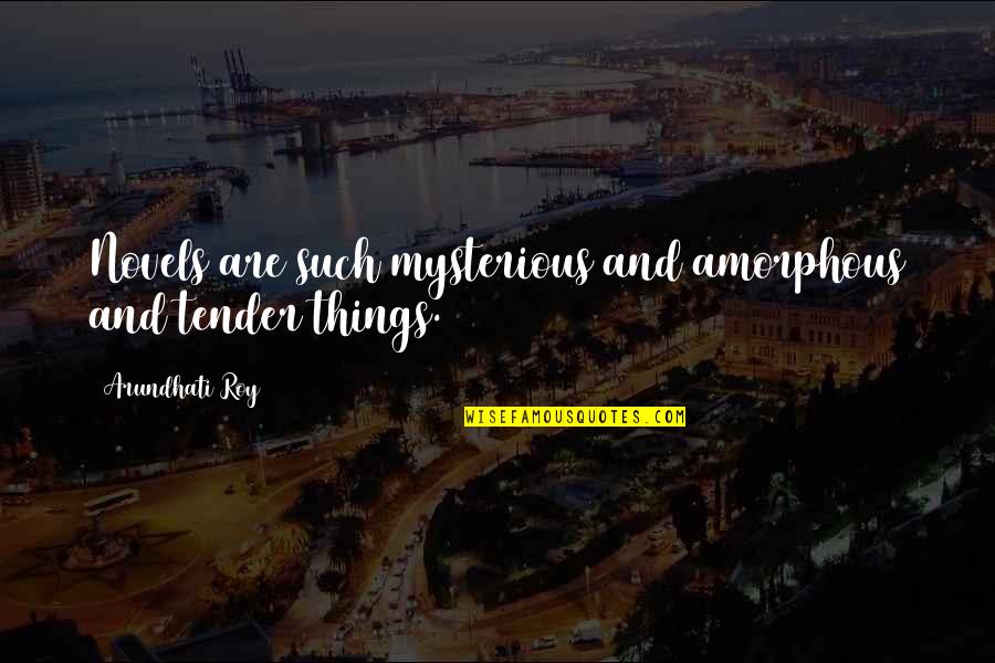 Anna Kingsford Quotes By Arundhati Roy: Novels are such mysterious and amorphous and tender Anna Kingsford Quotes By Arundhati Roy: Novels are such mysterious and amorphous and tender