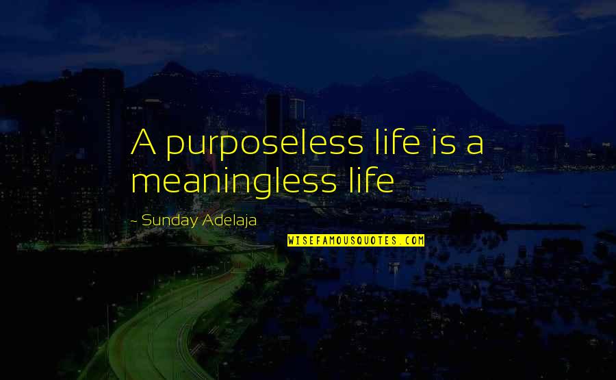 Anna Mae Hays Quotes By Sunday Adelaja: A purposeless life is a meaningless life