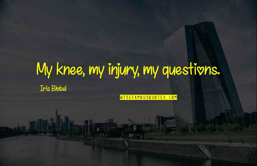 Anna Mary Robertson Moses Quotes By Iris Blobel: My knee, my injury, my questions.