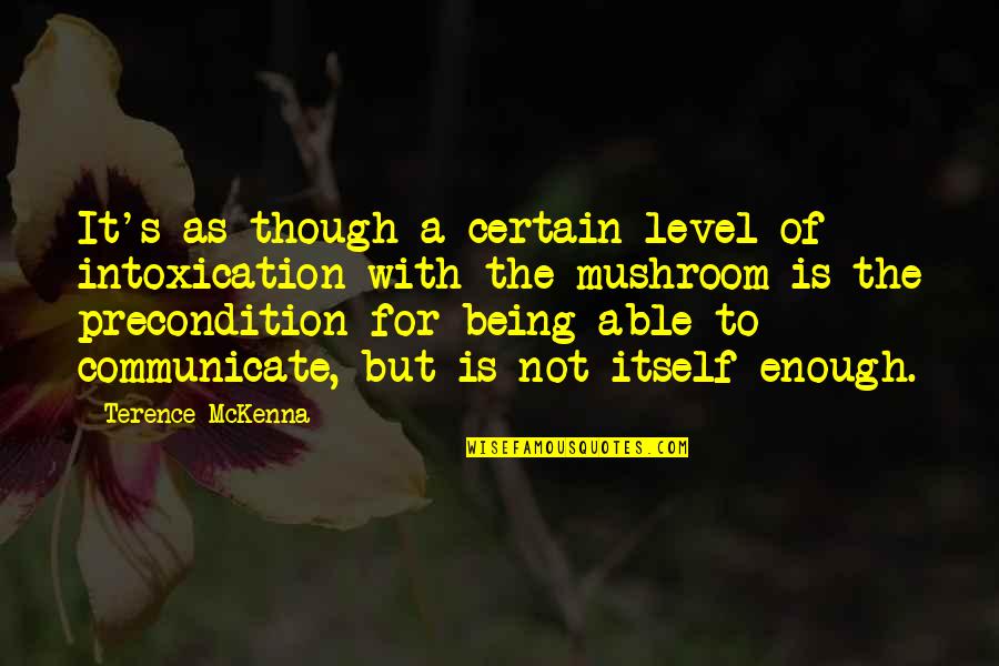 Anna Politkovskaja Quotes By Terence McKenna: It's as though a certain level of intoxication