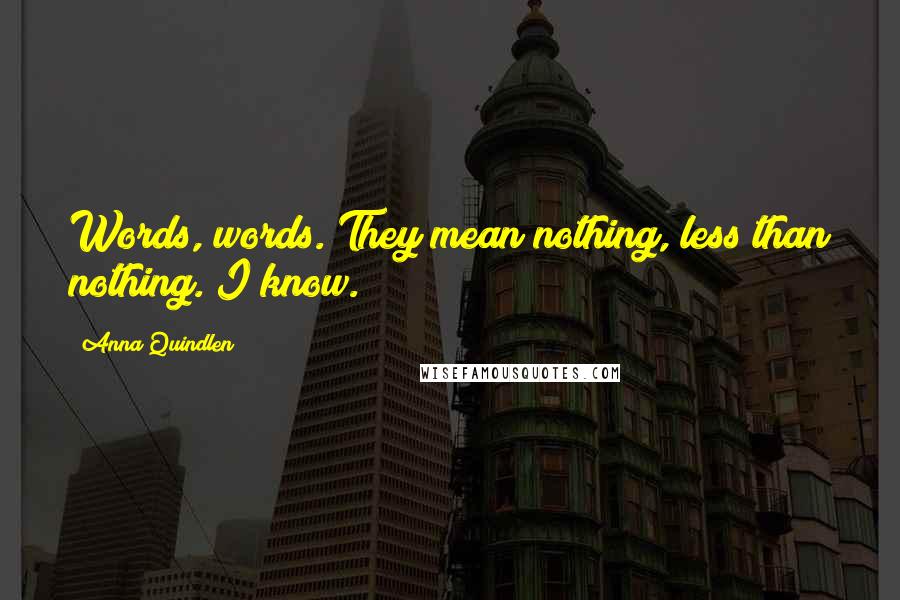 Anna Quindlen quotes: Words, words. They mean nothing, less than nothing. I know.