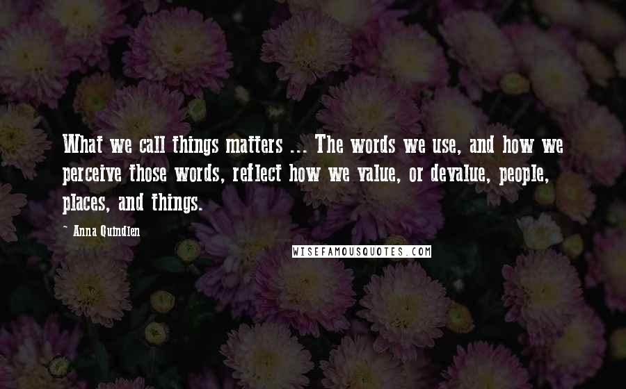 Anna Quindlen quotes: What we call things matters ... The words we use, and how we perceive those words, reflect how we value, or devalue, people, places, and things.