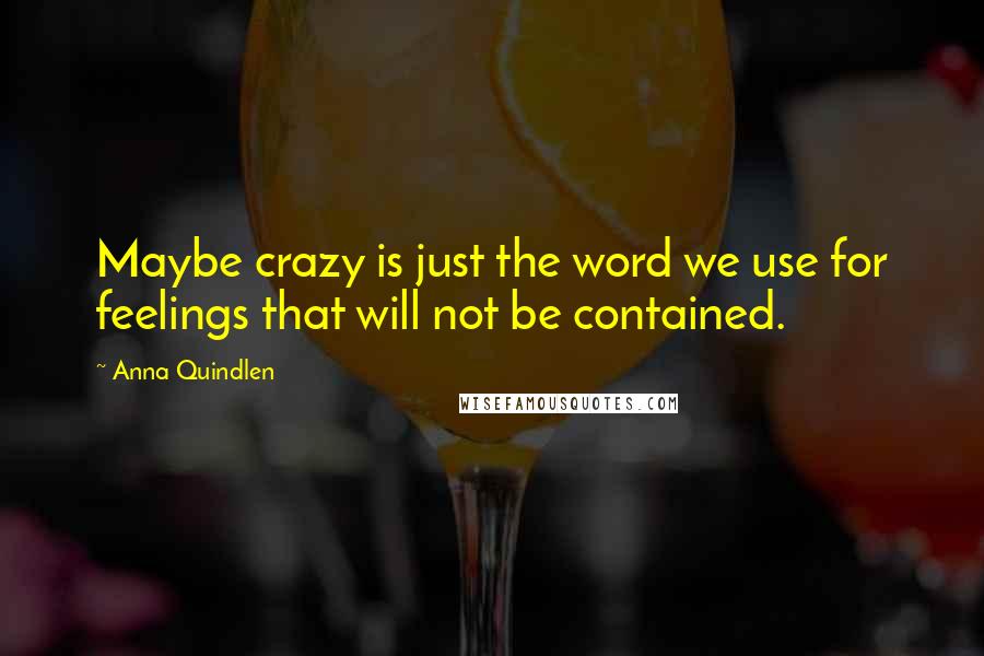 Anna Quindlen quotes: Maybe crazy is just the word we use for feelings that will not be contained.