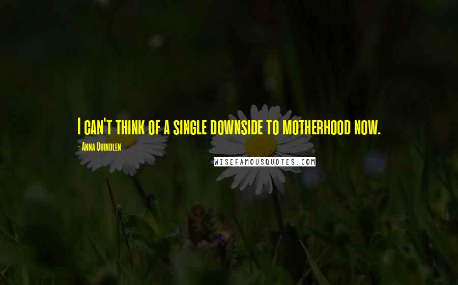 Anna Quindlen quotes: I can't think of a single downside to motherhood now.