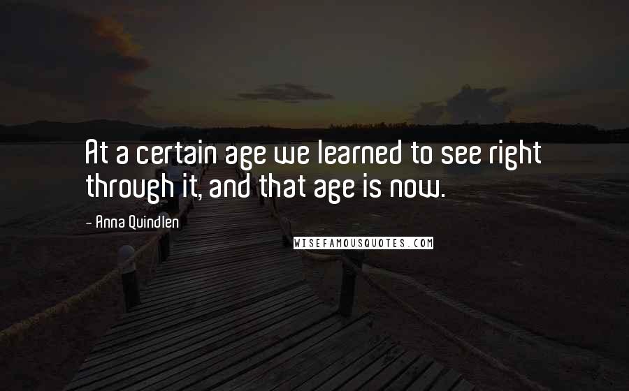 Anna Quindlen quotes: At a certain age we learned to see right through it, and that age is now.