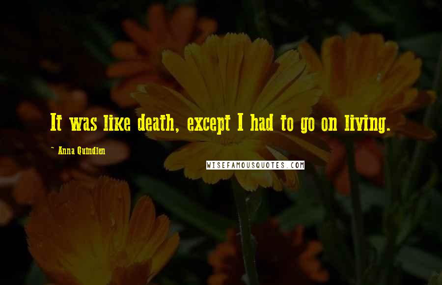 Anna Quindlen quotes: It was like death, except I had to go on living.