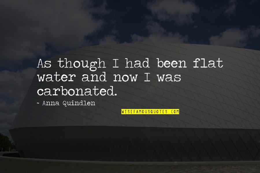 Anna Quindlen Quotes By Anna Quindlen: As though I had been flat water and