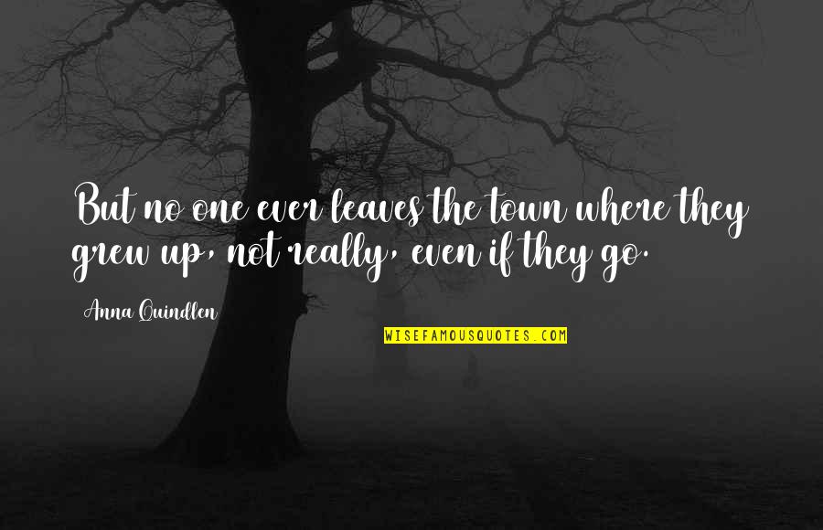 Anna Quindlen Quotes By Anna Quindlen: But no one ever leaves the town where