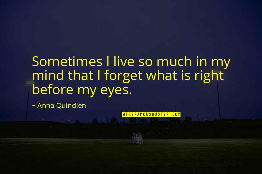 Anna Quindlen Quotes By Anna Quindlen: Sometimes I live so much in my mind