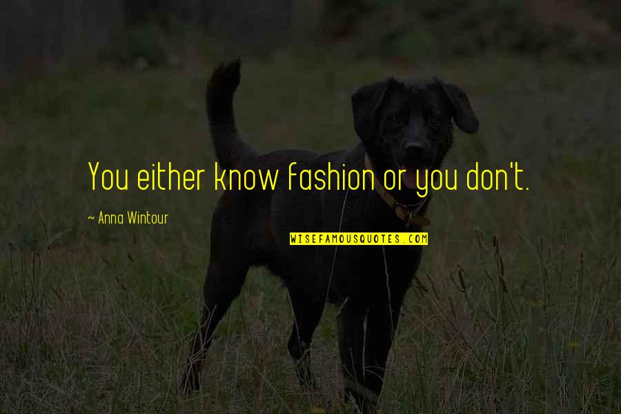 Anna Wintour Quotes By Anna Wintour: You either know fashion or you don't.