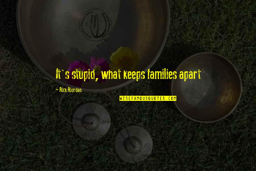 Annabeth Chase Best Quotes By Rick Riordan: It's stupid, what keeps families apart