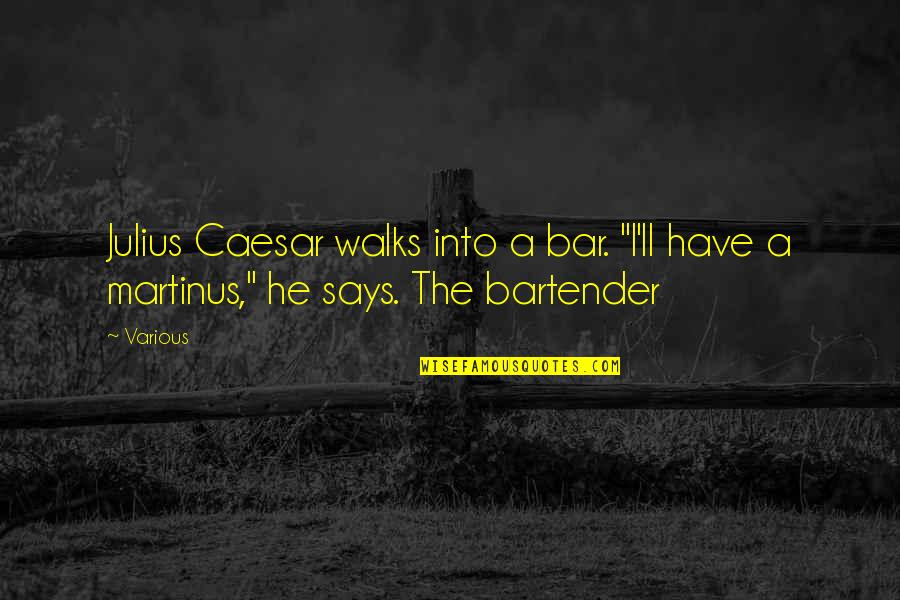 Annachiara Quotes By Various: Julius Caesar walks into a bar. "I'll have