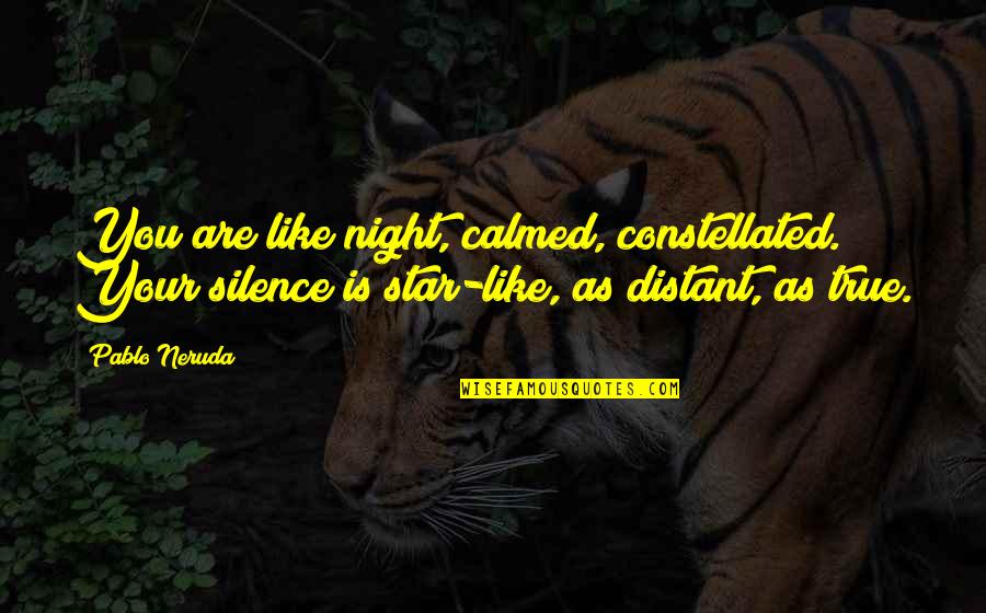 Annahme Translation Quotes By Pablo Neruda: You are like night, calmed, constellated. Your silence