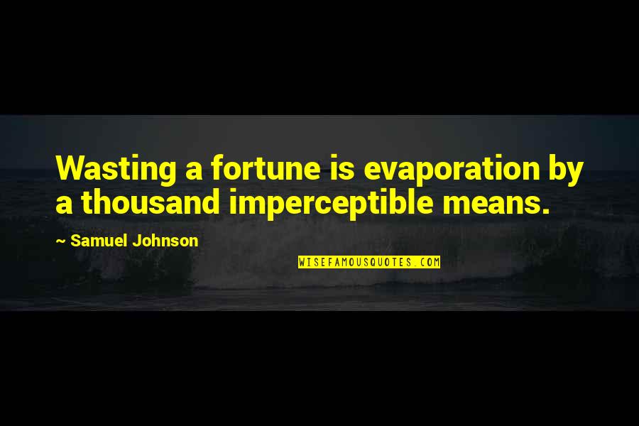 Annalee Call Quotes By Samuel Johnson: Wasting a fortune is evaporation by a thousand