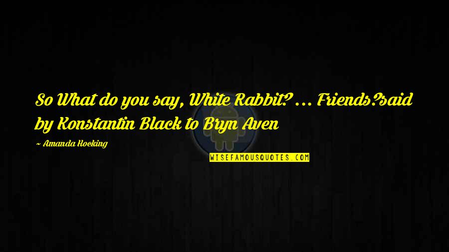 Annalene Desk Quotes By Amanda Hocking: So What do you say, White Rabbit? ...