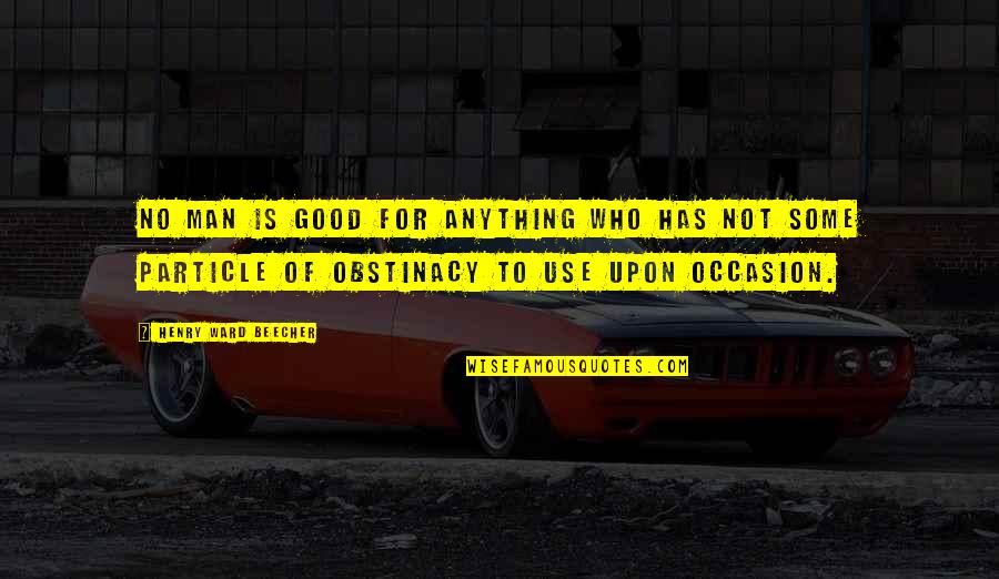 Annaliese Witschak Quotes By Henry Ward Beecher: No man is good for anything who has Annaliese Witschak Quotes By Henry Ward Beecher: No man is good for anything who has