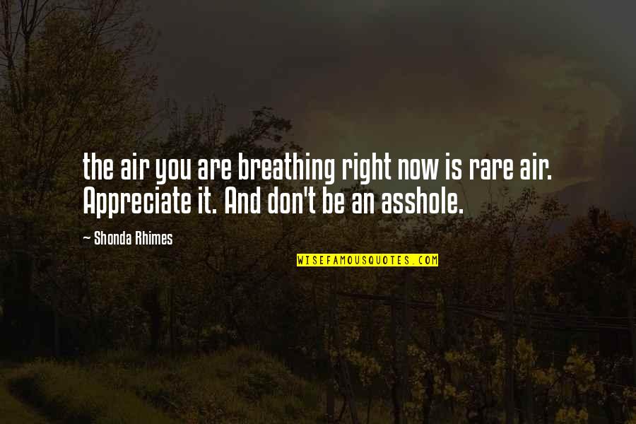 Annaliese Witschak Quotes By Shonda Rhimes: the air you are breathing right now is