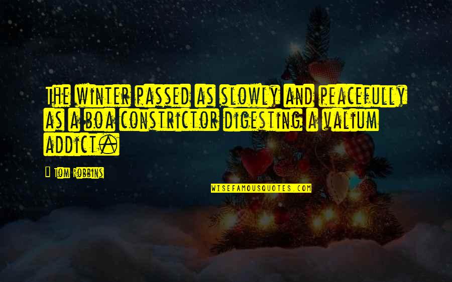 Annalists Quotes By Tom Robbins: The winter passed as slowly and peacefully as Annalists Quotes By Tom Robbins: The winter passed as slowly and peacefully as