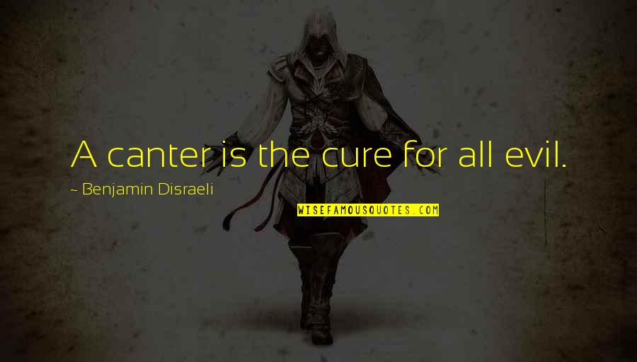 Anne Burrell Quotes By Benjamin Disraeli: A canter is the cure for all evil.