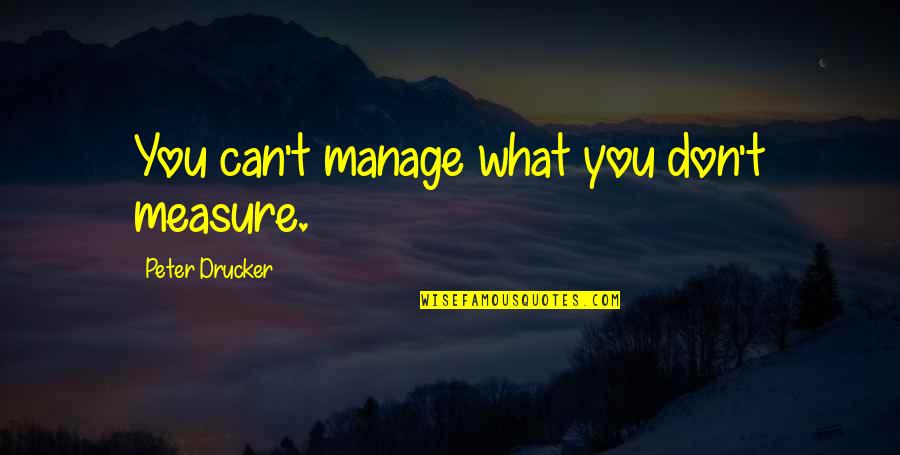 Anne Cushman Quotes By Peter Drucker: You can't manage what you don't measure.