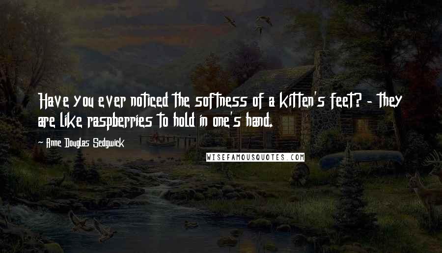 Anne Douglas Sedgwick quotes: Have you ever noticed the softness of a kitten's feet? - they are like raspberries to hold in one's hand. Anne Douglas Sedgwick quotes: Have you ever noticed the softness of a kitten's feet? - they are like raspberries to hold in one's hand.