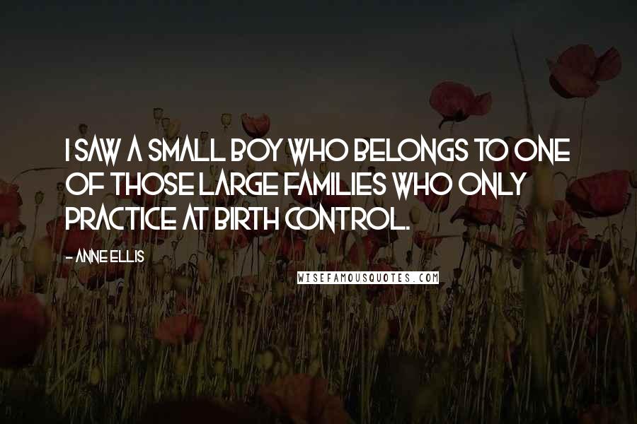 Anne Ellis quotes: I saw a small boy who belongs to one of those large families who only practice at birth control.