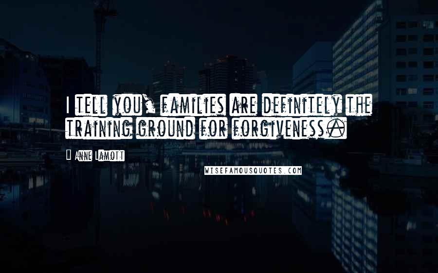 Anne Lamott quotes: I tell you, families are definitely the training ground for forgiveness.