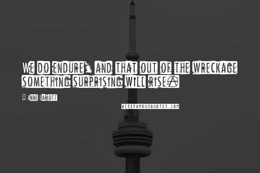 Anne Lamott quotes: We do endure, and that out of the wreckage something surprising will rise.