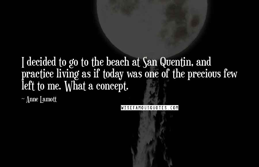 Anne Lamott quotes: I decided to go to the beach at San Quentin, and practice living as if today was one of the precious few left to me. What a concept.