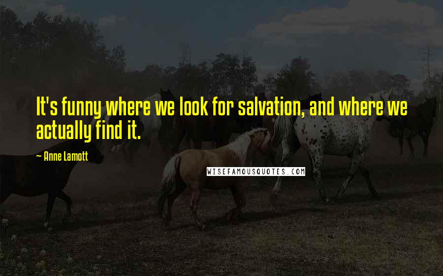 Anne Lamott quotes: It's funny where we look for salvation, and where we actually find it.
