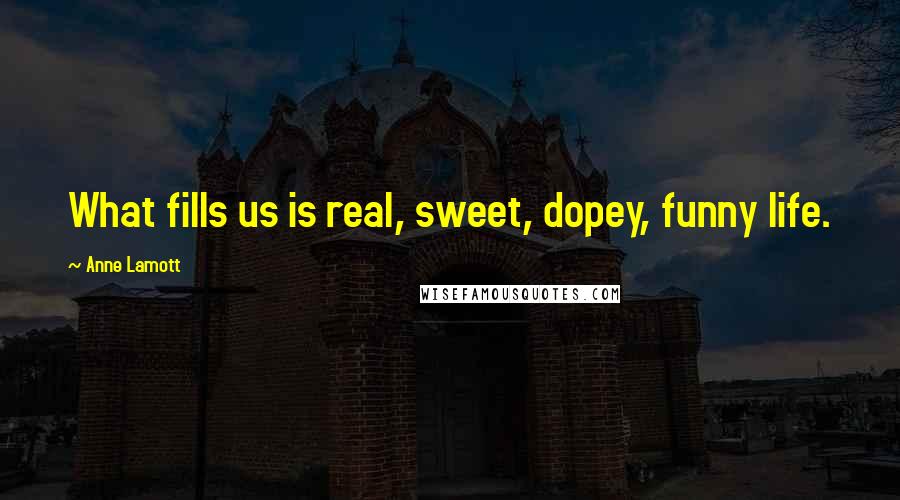 Anne Lamott quotes: What fills us is real, sweet, dopey, funny life.