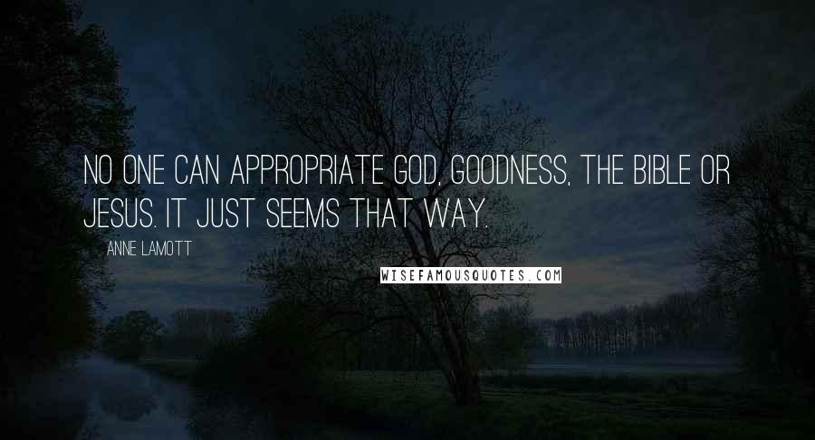 Anne Lamott quotes: No one can appropriate God, goodness, the Bible or Jesus. It just seems that way.