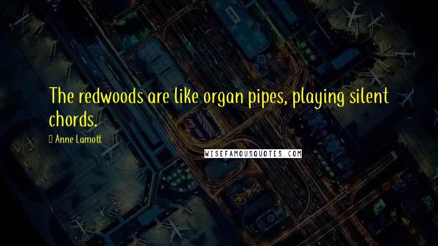 Anne Lamott quotes: The redwoods are like organ pipes, playing silent chords.